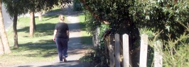 Walking for the Planet