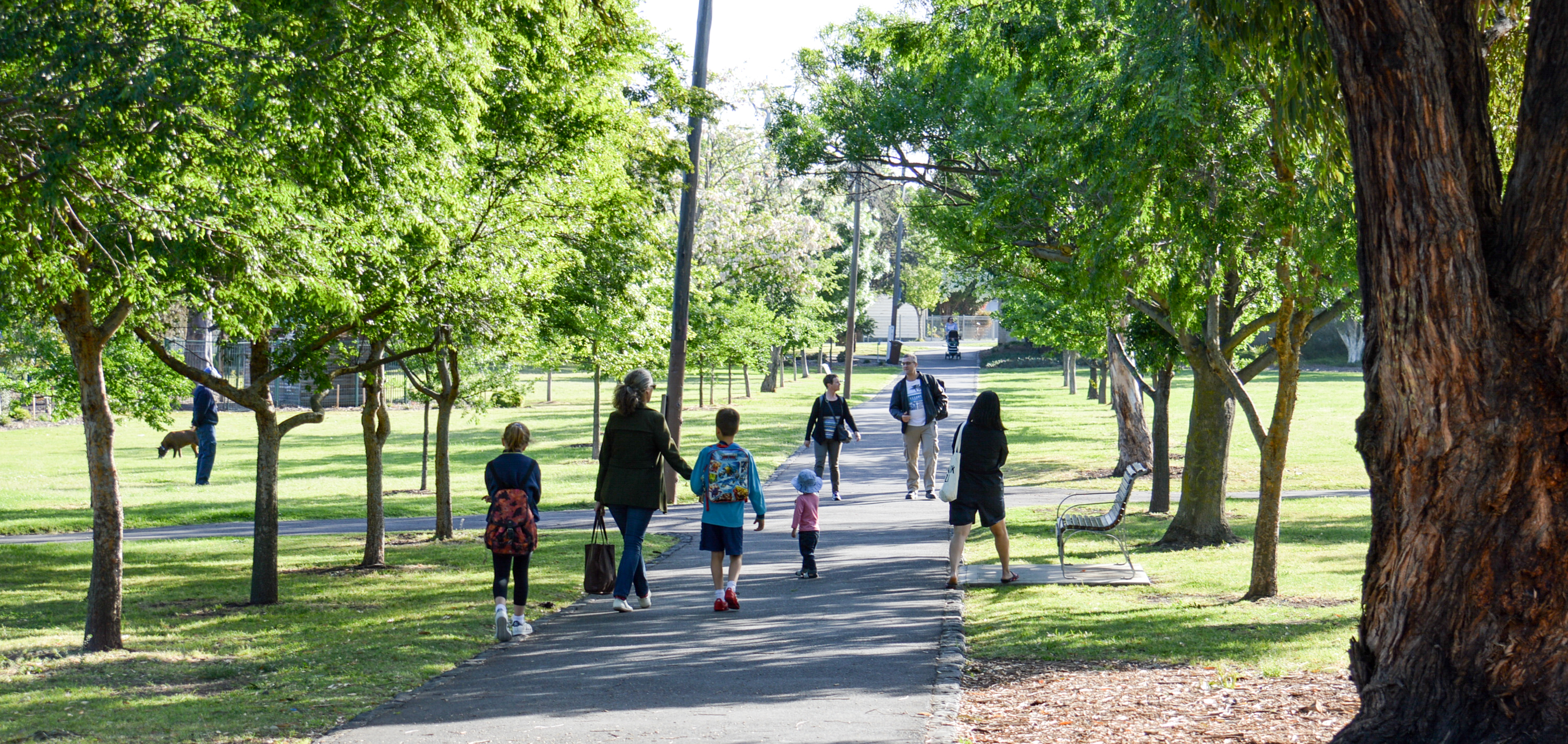 people walking in the park