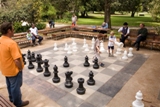 Chess in the park