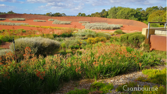 Walking Map 3916, Botanic Gardens, Cranbourne