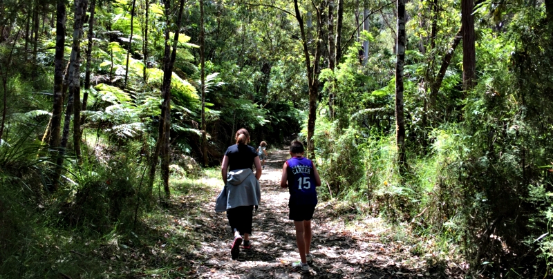 Cora Lynn cascades walk, Great Ocean Road, Lorne,  by Duane Burtt, Victoria walks