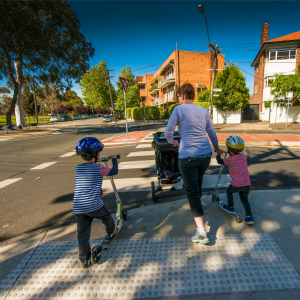 Smart Steps for Councils Toolkit