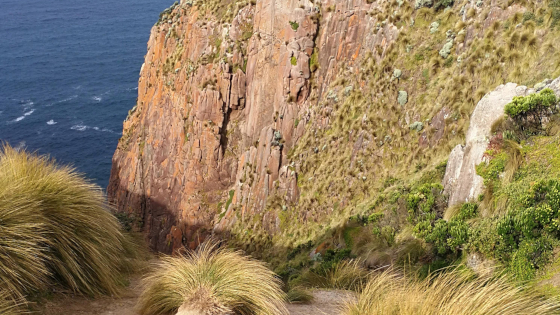 Victoria Walks: Cape Woolamai walk Phillip Island