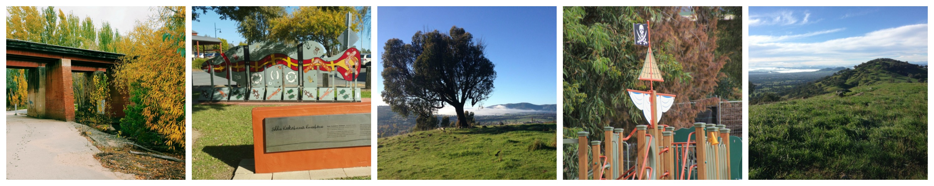 Wodonga Collage