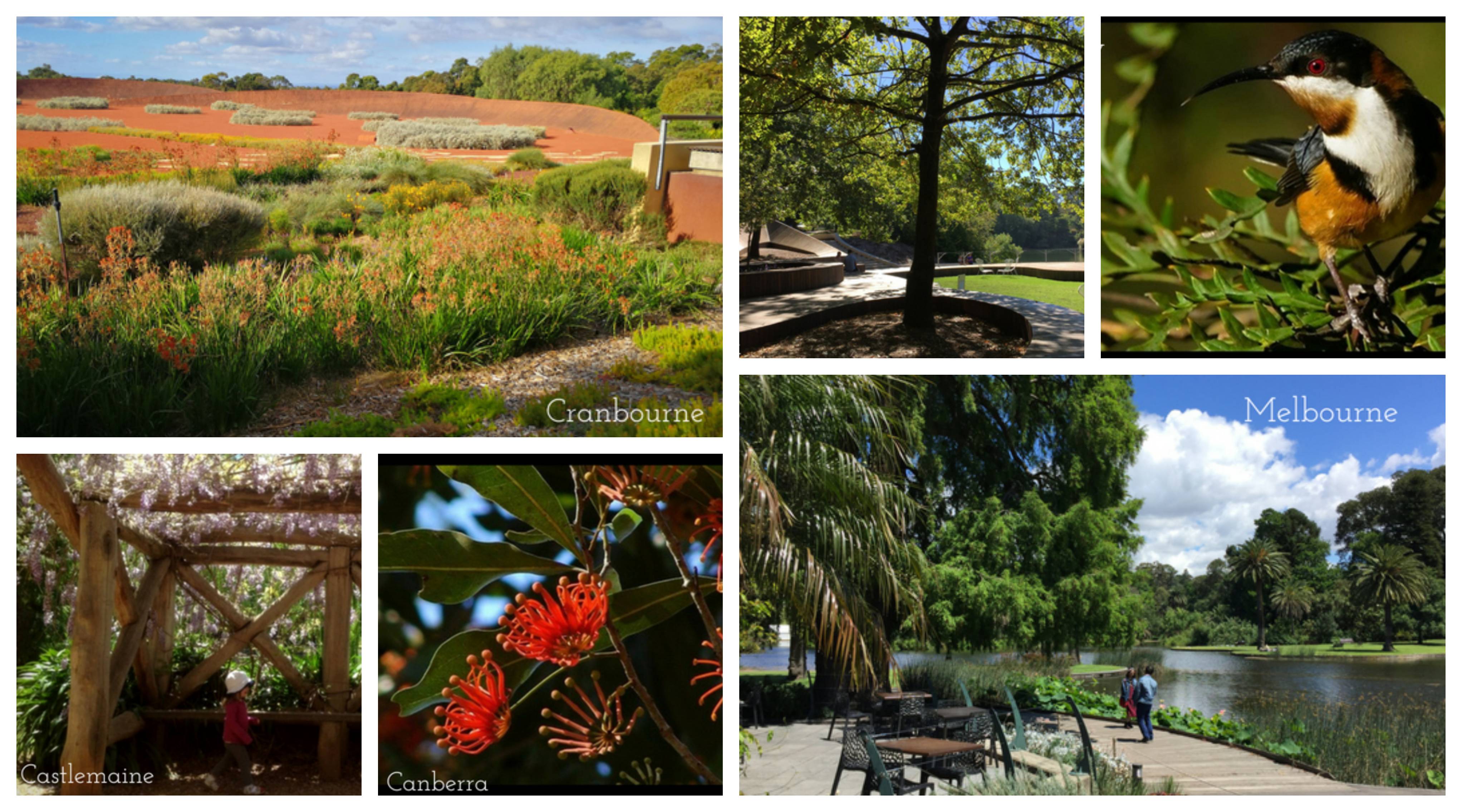 Best botanic garden walks in Melbourne,  Victoria and beyond