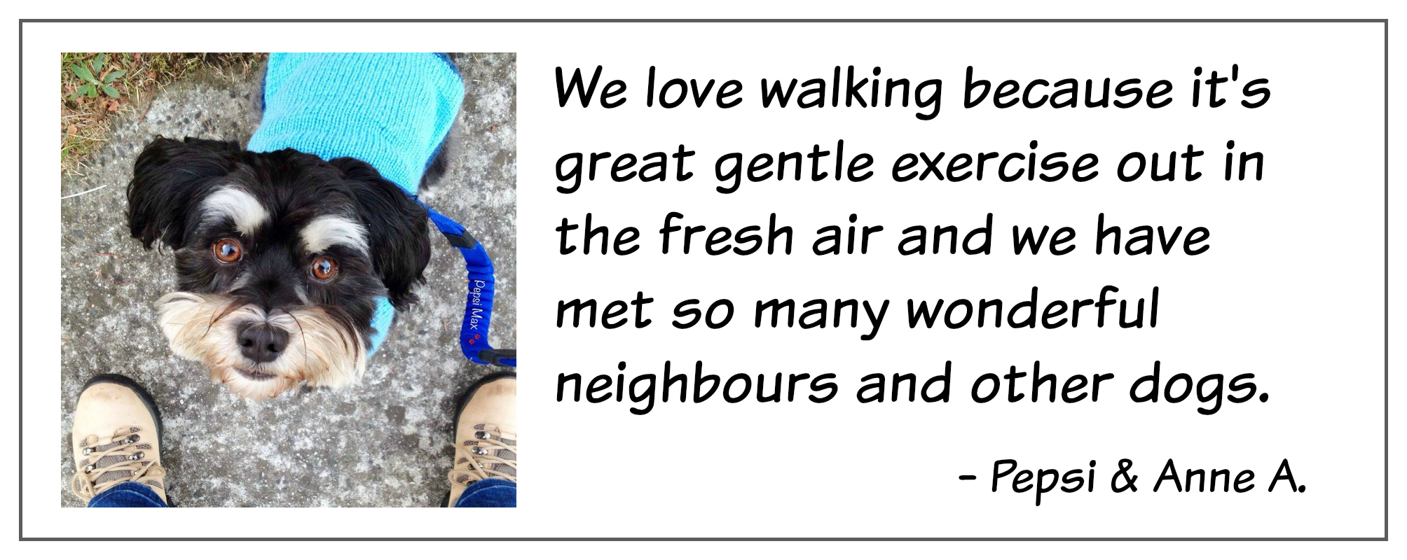 Dog walking quote Dog walking quote